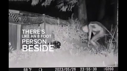 L'image de «l'extraterrestre» prétendument prise dans l'arrière-cour d'une famille aux États-Unis a semé la confusion