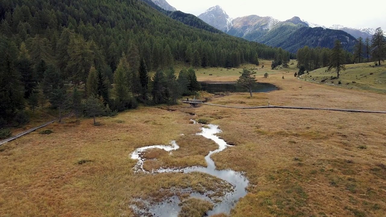 Relaxing Sleep Music Deep Sleeping Music, Stress Relief, Meditation Music