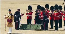 Intenso calor causó desmayos de soldados británicos durante un desfile en Londres