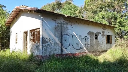 ARANHAS ME IMPEDIAM DE ENTRAR NA CASA ABANDONADA