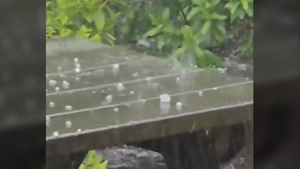 충북·경기 일부 지역에 우박 쏟아져..."과수·밭작물 피해" / YTN