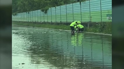 원주시 중앙고속도로 부산 방면에 물 고여 일부 구간 통제 / YTN