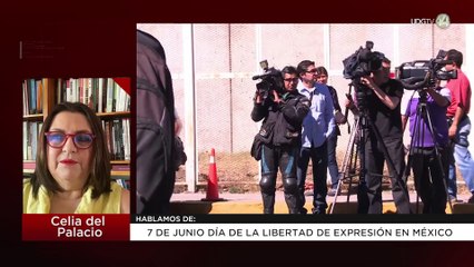 7 de junio, Día de la Libertad de Expresión en México: Celia del Palacio