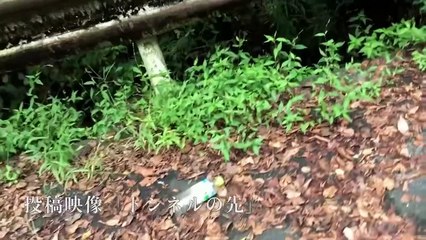 Honto ni Atta! Noroi No Video: Horror Edition | movie | 2020 | Official Trailer