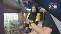 Jiwa SME: Aquascape: Fenomena Baru Penggemar Ikan Hiasan