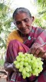 Raisins - dry grapes prepare method