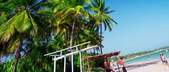 Wake & Bake with Dom Brown S02 E03