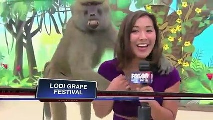 Funny Videos   Epic Fails   Fail Compilation   News Fails   Funny Bloopers