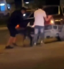 Arıza yapan otomobili köpek itti