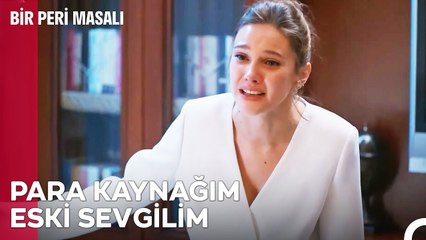 Eski Sevgiliden Yararlanma Sanatları - Bir Peri Masalı