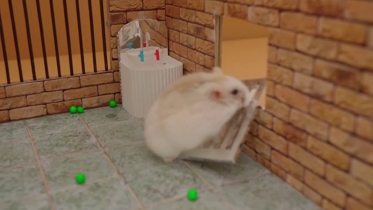 Hamster Escapes from the Prison Maze for Pets in real lifein Hamster stories Part 1