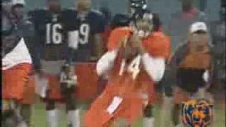 bears scrimmage 2007