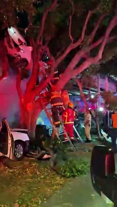 #EnVivo Impresionante choque sobre Calzada Lázaro Cárdenas y Cruz del Sur;  auto queda arriba de un árbol