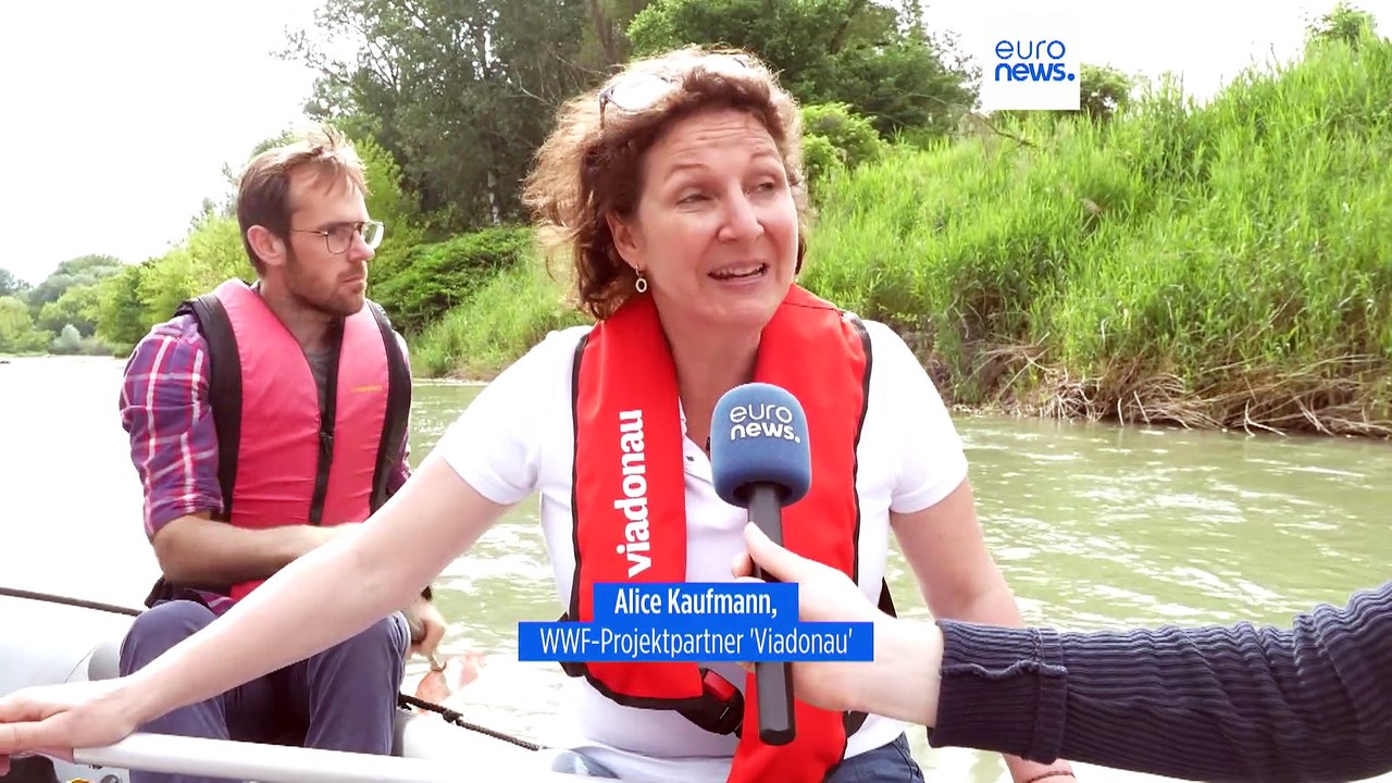 Kampf um Naturwiederherstellungsgesetz - Vielfalt steht auf dem Spiel