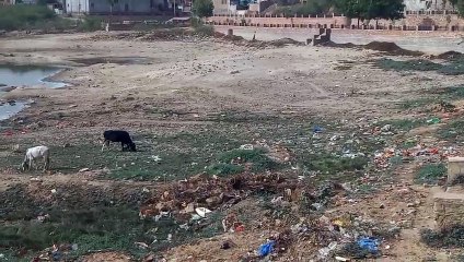 जमीन का खजाना हो रहा खाली और सो रहे जिम्मेदार...