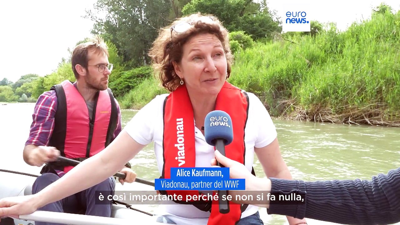 La legge sul ripristino della natura che piace al WWF ma non al PPE