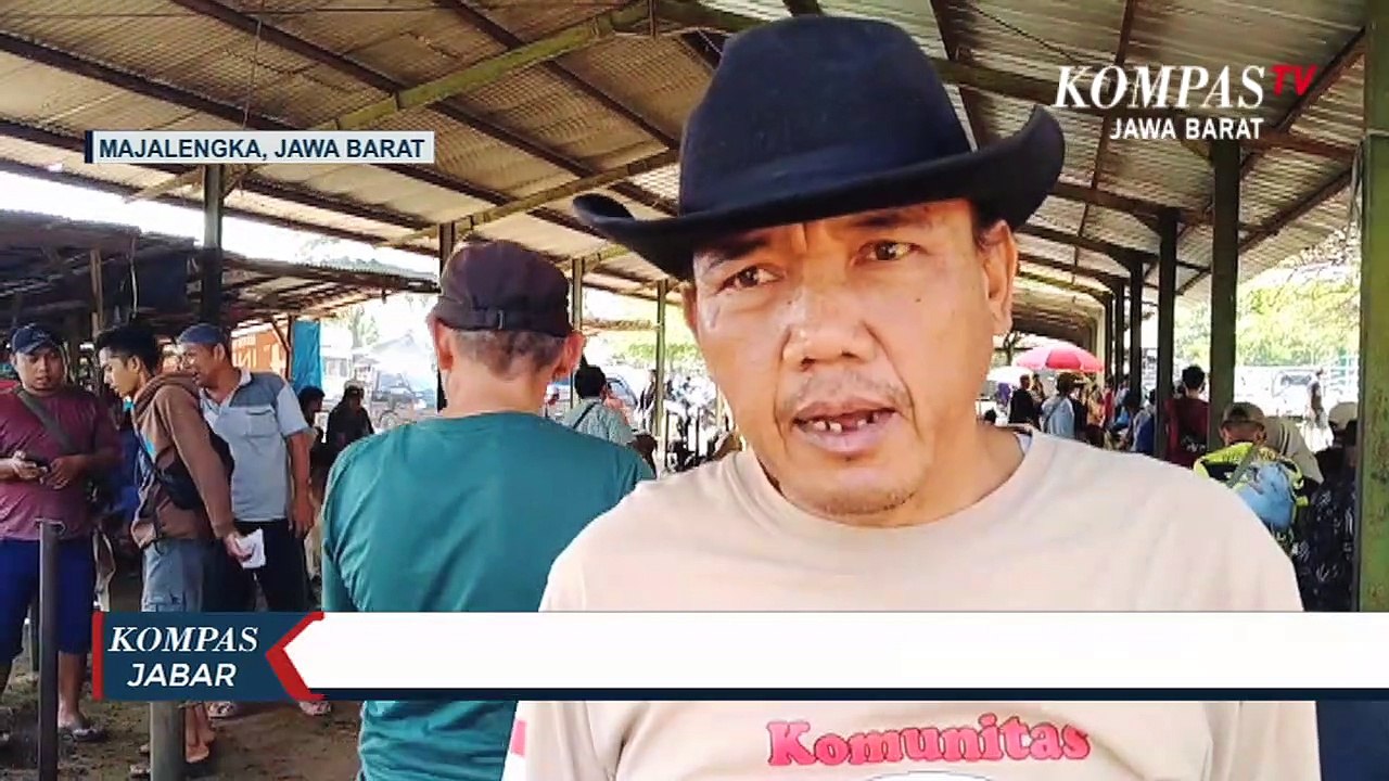 Kenaikan Harga Kambing dan Domba Capai Rp300 Ribu/Ekor