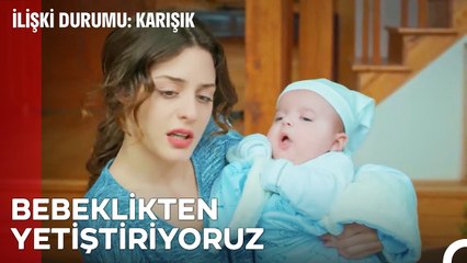 Yazar Yetiştiriciliği İçin Doğru Adres - İlişki Durumu Karışık