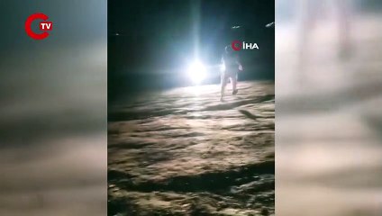 Ankara’da 17 köpek ağaca asılmış halde bulundu