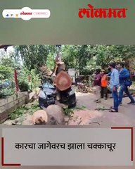 ठाण्यात कारवर कोसळलं झाडपाहा पुढे काय झालं