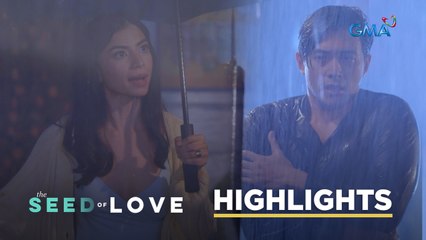 The Seed of Love: The cheater husband begs for his wife’s forgiveness (Episode 26)