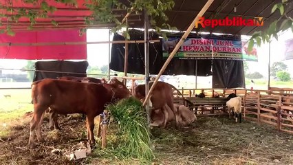 Ini Makna Berkurban Bagi Umat Muslim
