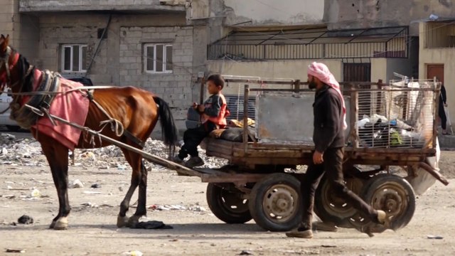 الصراعات والأزمات تجبر الأطفال على الانخراط في العمل