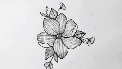 How to draw a flower easy step by step with pencil
