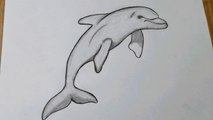 how to draw a dolphin step by step || Dolphin drawing easy