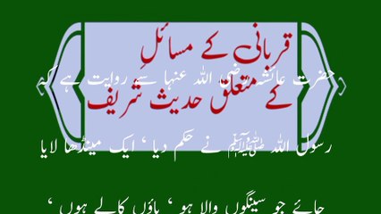 Qurbani K Masail K Mutaliq Hadees Mubaraka Ka Majmuaa