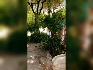 Siguiendo los pasos de los niños videntes de Fátima - Padre Juan Razo García (05/06/2023)