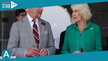 Charles III et Camilla : voici comment le couple royal entretient la flamme