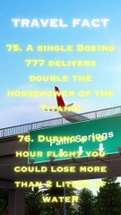 Travel Fact | Tourism Facts | Funny Facts | No 38