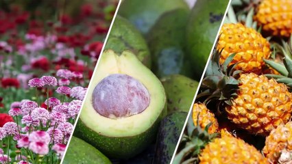 Le Talk : Revivez l'émission du lundi 12 juin 2023