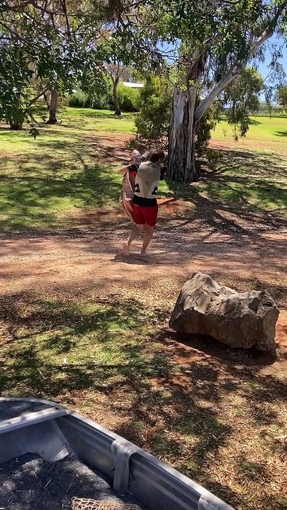 Rescued Kangaroos Released on Dry Land