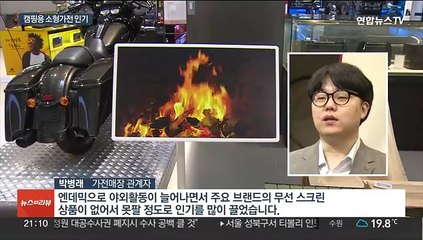야외로 간 가전…캠핑족 겨냥 소형 가전 봇물