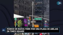 Pánico en Nueva York por una plaga de abejas en Times Square