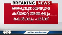 തൃശൂരിൽ തെരുവുനായയുടെ കടിയേറ്റ് അമ്മയ്ക്കും മകൾക്കും പരിക്ക്‌