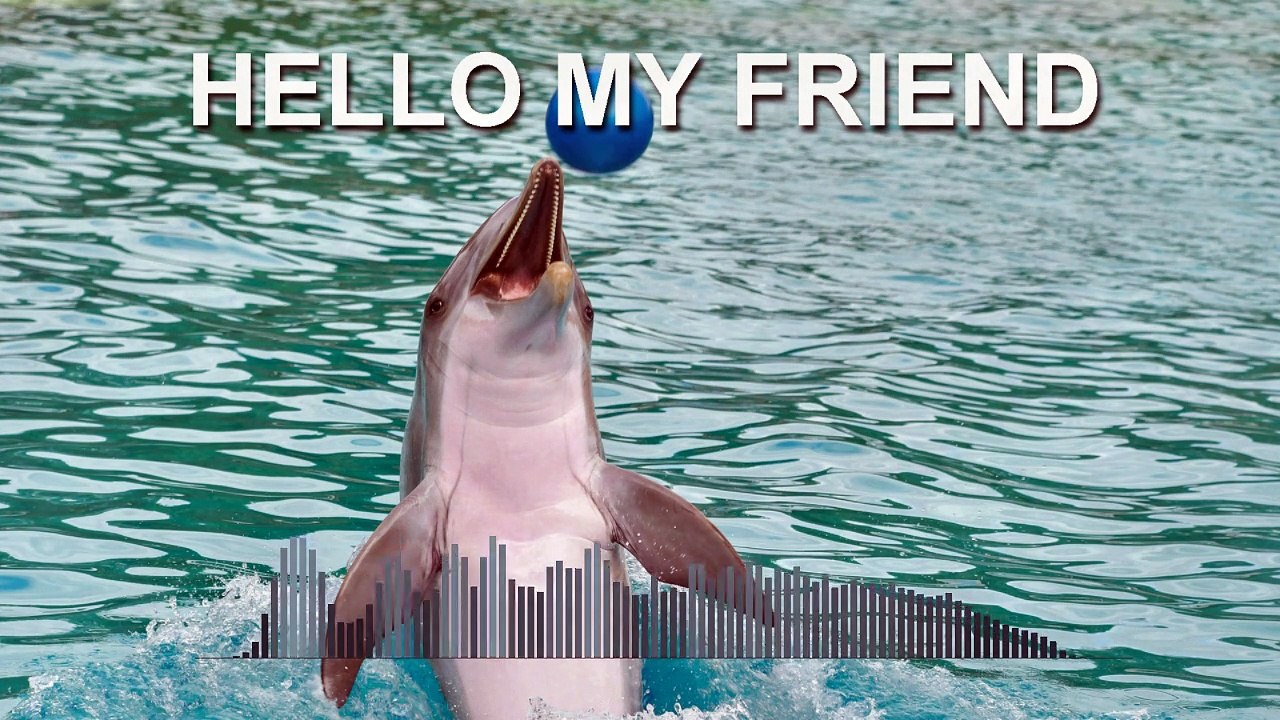 Hello My Friend (Royalty Free Music)