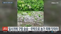 연일 우박·벼락 동반 소나기…주 중반까지 계속