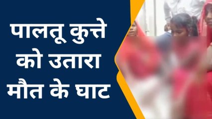 मानवता की हदें हुईं पार, देखिए क्रूर दबंगों ने टाइगर नाम के कुत्ते को उतारा मौत के घाट