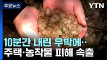 '우박 폭탄'에 농작물 쑥대밭...충북 북부에 피해 집중 / YTN