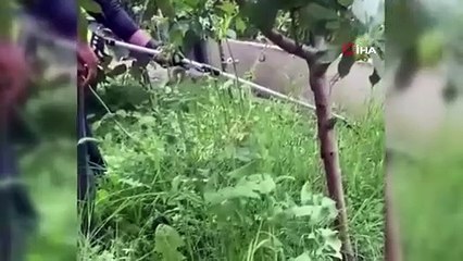 Evin bahçesine girdi, korku dolu anlar yaşattı!