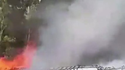 लखीमपुर: अज्ञात कारणों के चलते मुर्गी फार्म में लगी भीषण, सैकड़ों मुर्गे जिंदा जले