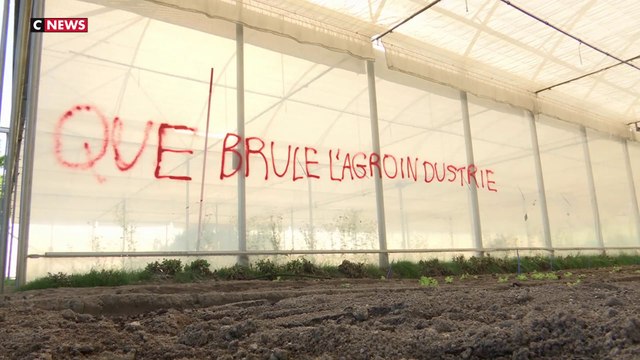 Maraîchers : des camps saccagés par des «écolos»