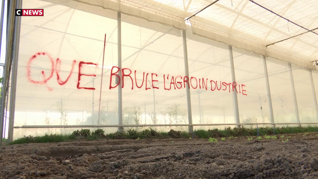 Maraîchers : des camps saccagés par des «écolos»