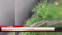 Düzce’de raftingcilerden yılan kurtarma operasyonu