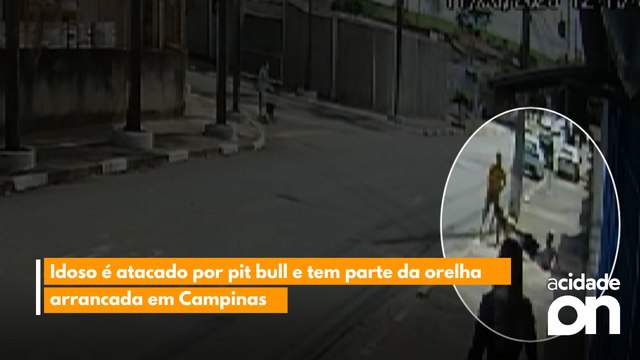 Idoso é atacado por pit bull e tem parte da orelha arrancada em Campinas