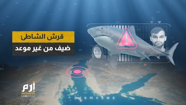 بعد حادثة الغردقة الأليمة.. ما لا تعرفه عن قرش الشاطئ