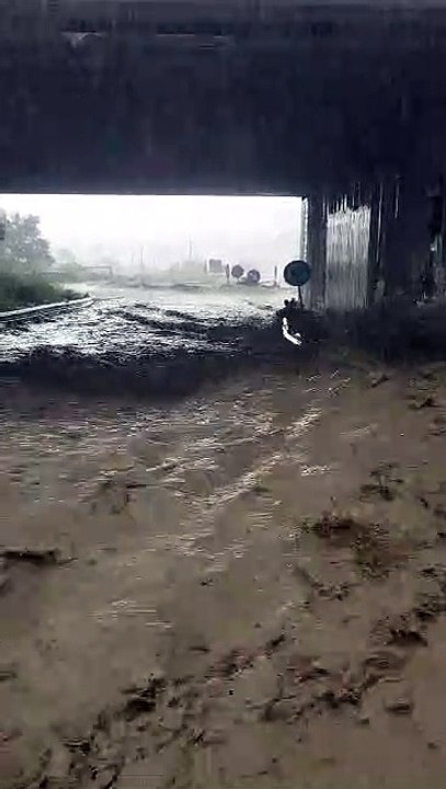 Violento temporale a Catanzaro e zone limitrofe, strade allagate e auto bloccate